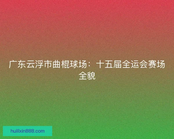 广东云浮市曲棍球场：十五届全运会赛场全貌